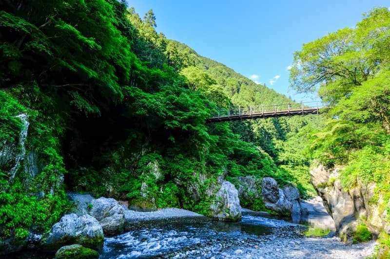 🏞️ 하토노스 계곡(하토노스케이코쿠) 이미지 5